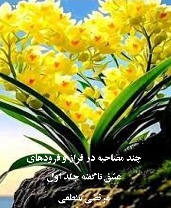 چند مصاحبه در فراز و فرودهای عشق ناگفته جلد اول